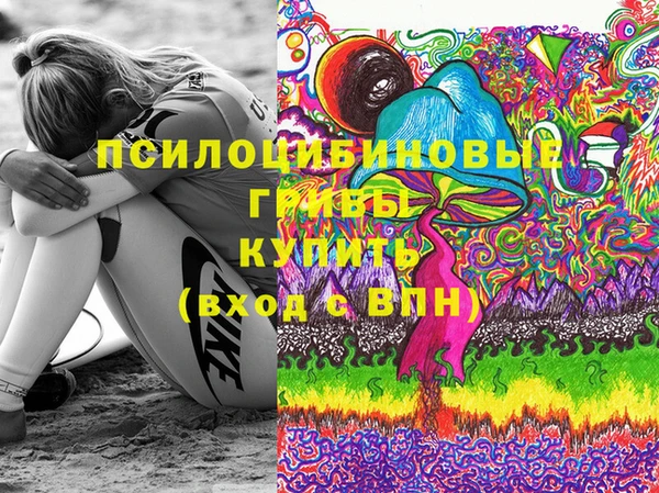 дживик Алексин