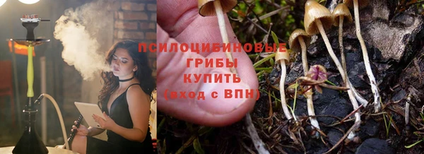 спиды Алзамай