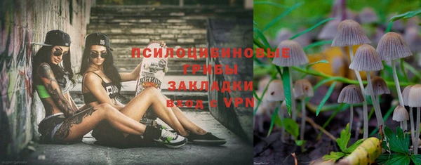 дживик Алексин
